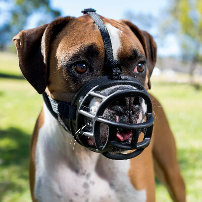 baskerville dog muzzle