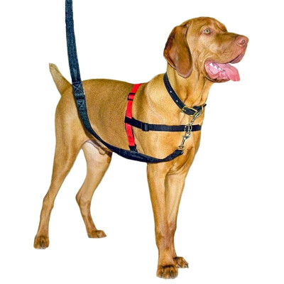 buy Halti-Harness-For-Dogs2