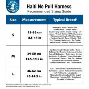 buy Halti-No-Pull-Harness-For-Dogs-Size-Chart