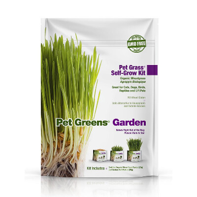 Pet Greens Garden Wheat Grass Self Grow Kit For Pets