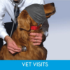 Dog thunder cap hotsell