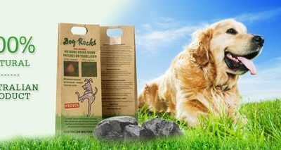 Dog Rocks (Lawn Burning Prevention)