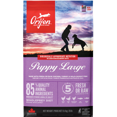 Orijen Large Breed Grain-Free Puppy Food