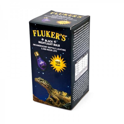 buy Flukers-Black-Nightlight-Bulb-Lighting