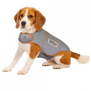 Buy Thundershirt Sport Platinum online in Canada