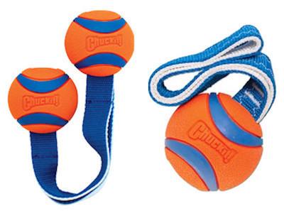 chuck it ball