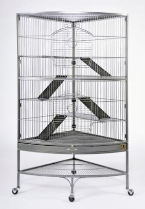 feisty ferret home 485