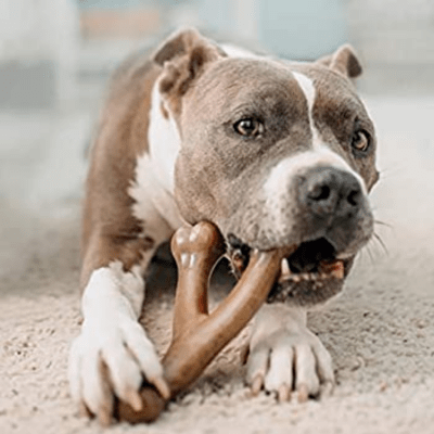 Benebone Bacon Flavoured Wishbone Tough Dog Chew Toy