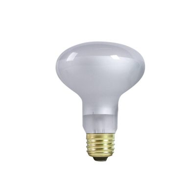 Zilla Day White Incandescent Terrarium Spot Light Bulb