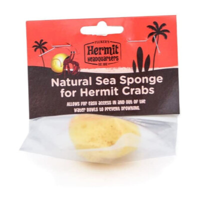 buy Flukers-Natural-Sea-Sponge-for-Hermit-Crabs