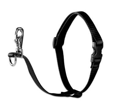 Lupine Pet No Pull Harness for Dogs