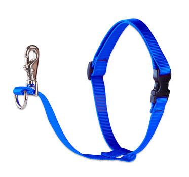 Lupine Pet No Pull Harness for Dogs