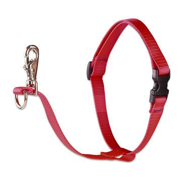 Lupine pet shop leash