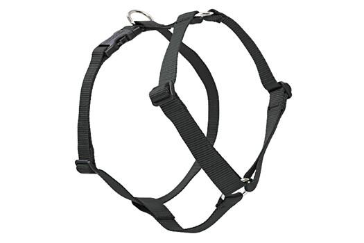 Roman style hotsell dog harness