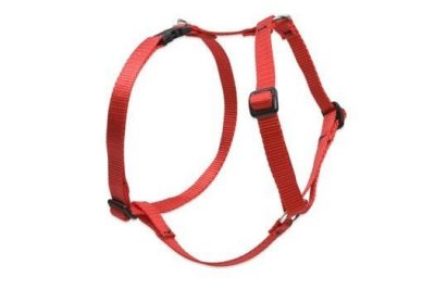 Lupine Pet Roman Style  Adjustable Dog Harness