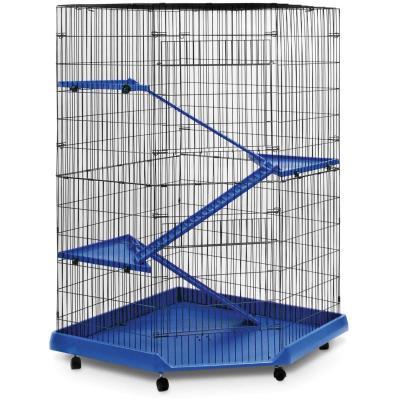 feisty ferret home 485