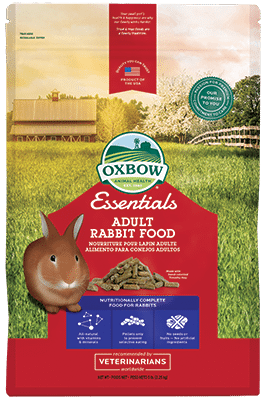 Bulk rabbit shop food online