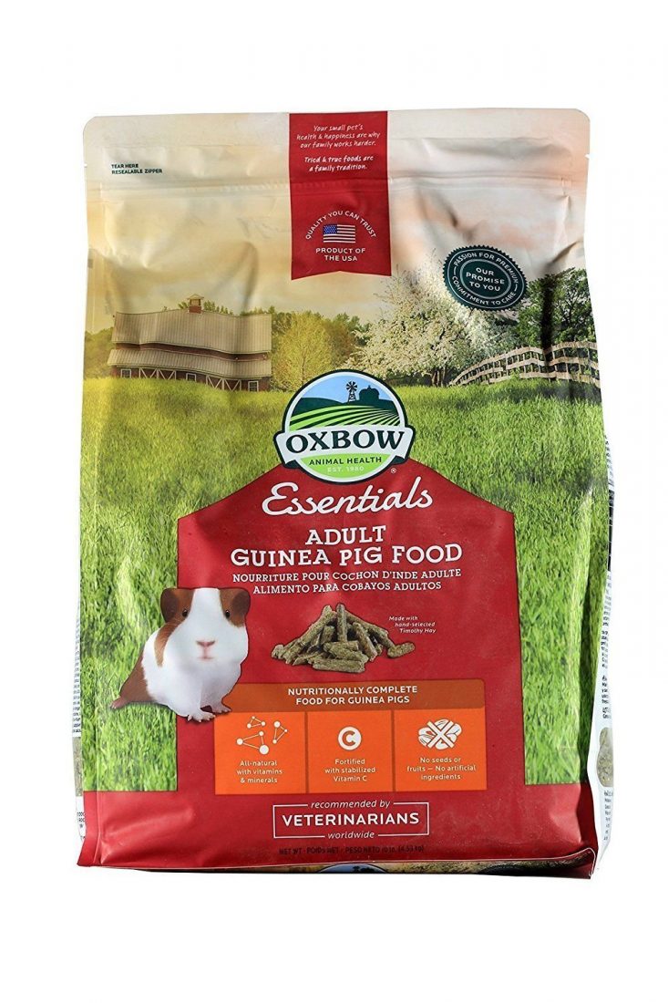 Oxbow essentials guinea best sale pig food 10lb