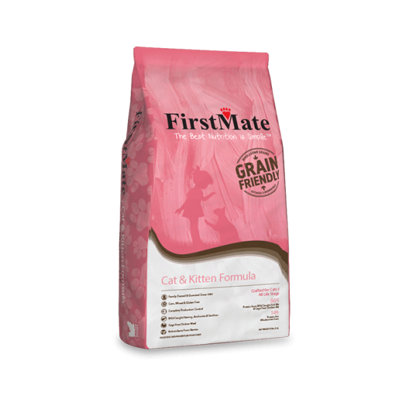 Kitten food online sales