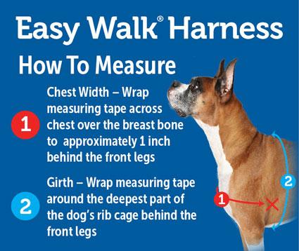easy walk dog collar