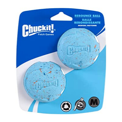 buy Chuck-It-Recycled-Balls-by-Canine-Hardware-Remmy2