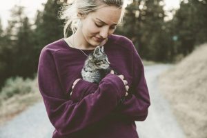 Bulk dog food deals for breeders