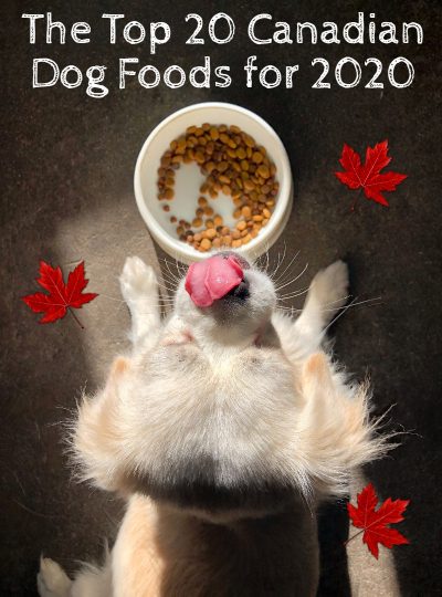 horizon taiga dog food reviews