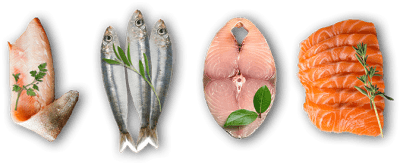 Buy essence ocean and freshwater fish based dog and cat foods online in Canada