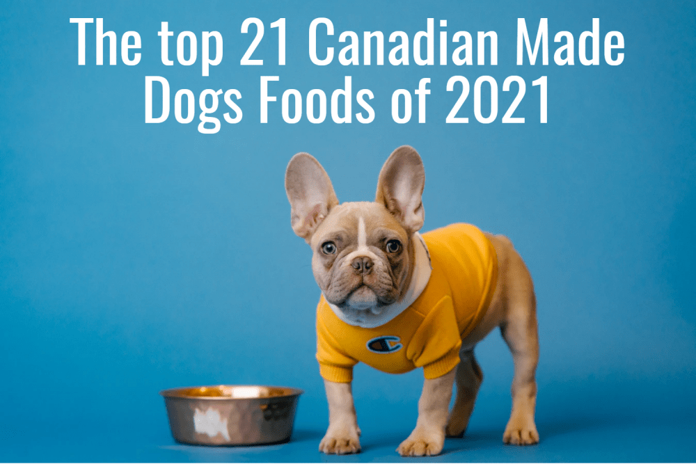 Find & buy the best pet products in Canada online | Canadian Pet Connection