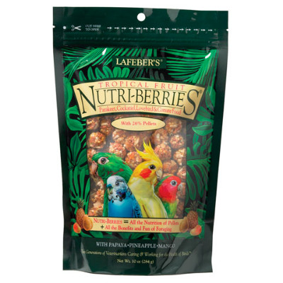 buy Lafebers Gourmet Tropical Fruit Nutri-Berries For Cockatiels