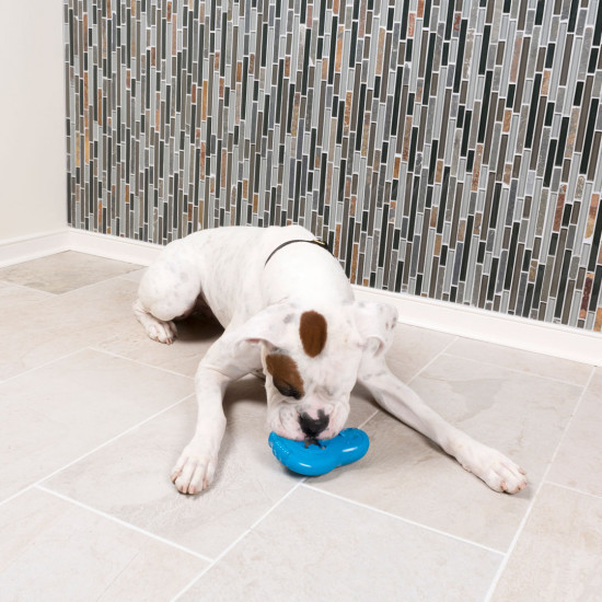 PetSafe Chilly Penguin Treat Holding Dog Toy Canadian Pet Connection