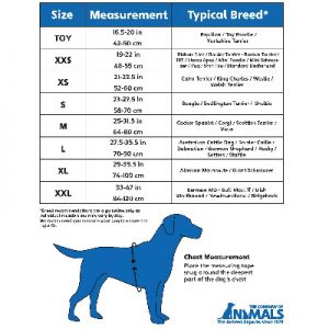 buy Halti-Comfy-Harness-For-Dogs-Chart