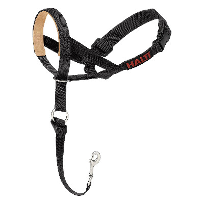 buy Halti-Headcollars-For-Dogs-Padded