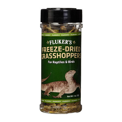 buy Flukers-Freeze-Dried-Grasshoppers