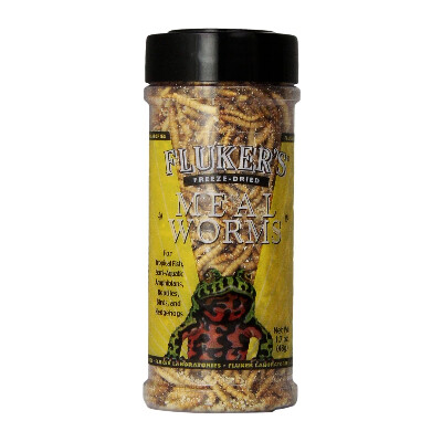 buy Flukers-Freeze-Dried-Mealworms-Reptile-Treats