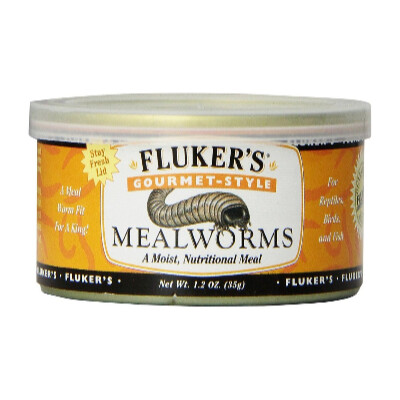 Flukers Gourmet Canned Food Mealworms
