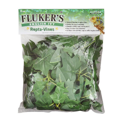 buy Flukers-Repta-Vines-6-English-Ivy2