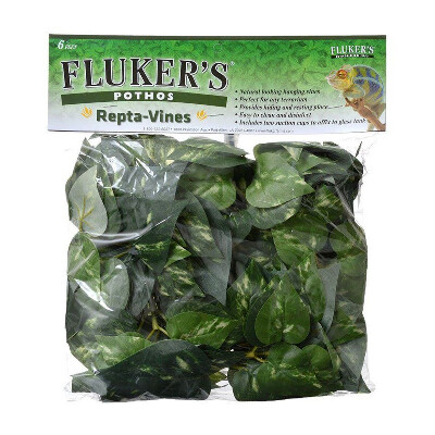 buy Flukers-Repta-Vines-6-Pothos