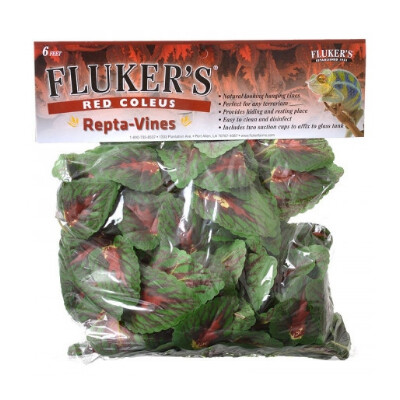buy Flukers-Repta-Vines-6-Red-Coleus