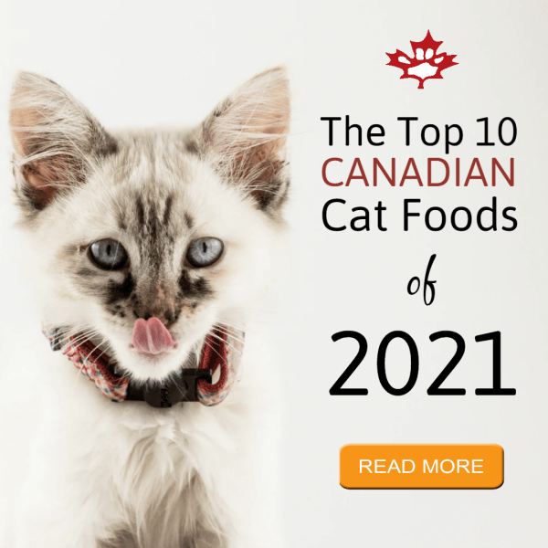 Top cat foods 2021