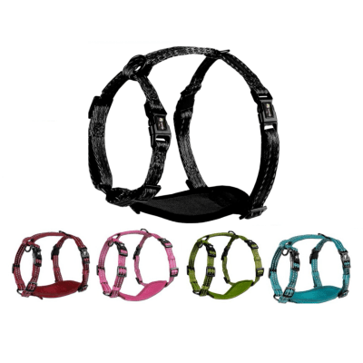 Alcott best sale dog harness