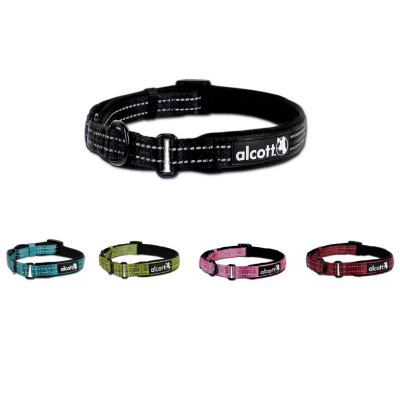 Alcott collar online