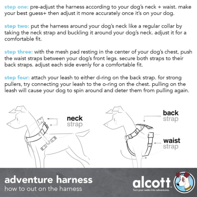 Alcott online dog harness