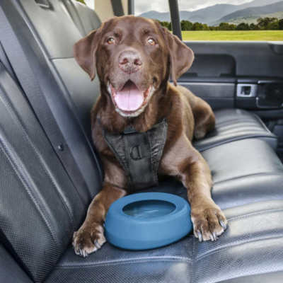 Kurgo Splash Free Wander Dog Water Bowl Canadian Pet Connection