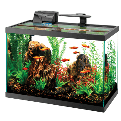 Aqueon Standard Open-Glass 20 Gallon Aquarium Tank