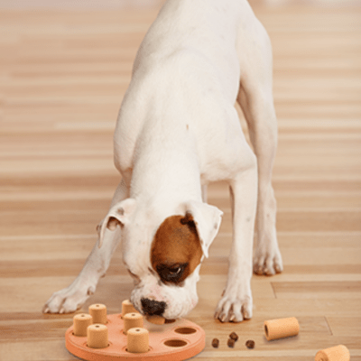 https://www.canadianpetconnection.ca/wp-content/uploads/2021/04/Outward-Hound-Nina-Ottosson-Smart-Composite-Puzzle-Dog-Toy-1-.png