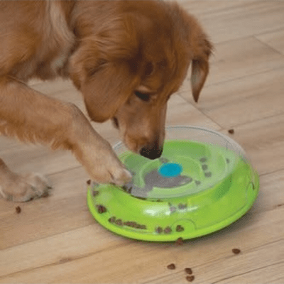 https://www.canadianpetconnection.ca/wp-content/uploads/2021/04/Outward-Hound-Nina-Ottosson-Wobble-Bowl-Slow-Feeder-and-Dog-Puzzle-2-.png