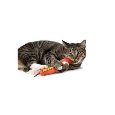 https://www.canadianpetconnection.ca/wp-content/uploads/2021/04/Outward-Hound-Petstages-Green-Magic-Dynamite-Catnip-Cat-Toy-1-.png