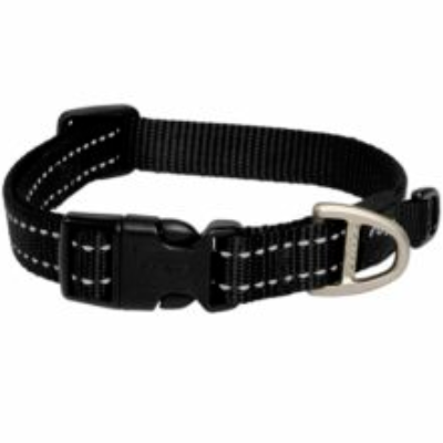Pink floyd dog collar hot sale