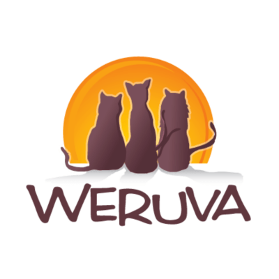 Weruva Dog Food